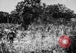 Image of capturing Japanese airbase Mariana Islands, 1944, second 21 stock footage video 65675050443