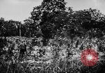 Image of capturing Japanese airbase Mariana Islands, 1944, second 23 stock footage video 65675050443
