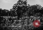Image of capturing Japanese airbase Mariana Islands, 1944, second 25 stock footage video 65675050443