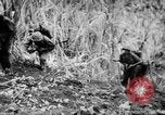 Image of flamethrowers Mariana Islands, 1944, second 9 stock footage video 65675050444