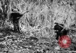 Image of flamethrowers Mariana Islands, 1944, second 10 stock footage video 65675050444