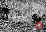 Image of flamethrowers Mariana Islands, 1944, second 11 stock footage video 65675050444