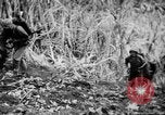 Image of flamethrowers Mariana Islands, 1944, second 12 stock footage video 65675050444