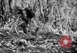 Image of flamethrowers Mariana Islands, 1944, second 14 stock footage video 65675050444
