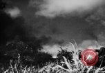 Image of flamethrowers Mariana Islands, 1944, second 21 stock footage video 65675050444