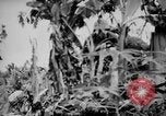 Image of flamethrowers Mariana Islands, 1944, second 34 stock footage video 65675050444