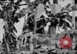 Image of flamethrowers Mariana Islands, 1944, second 35 stock footage video 65675050444