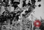 Image of flamethrowers Mariana Islands, 1944, second 36 stock footage video 65675050444