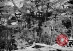 Image of flamethrowers Mariana Islands, 1944, second 39 stock footage video 65675050444