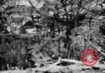 Image of flamethrowers Mariana Islands, 1944, second 40 stock footage video 65675050444