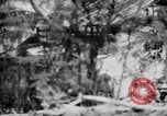 Image of flamethrowers Mariana Islands, 1944, second 41 stock footage video 65675050444