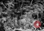 Image of flamethrowers Mariana Islands, 1944, second 44 stock footage video 65675050444