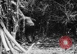Image of US forces combat in Garapan on Saipan Garapan Saipan Mariana Islands, 1944, second 33 stock footage video 65675050446