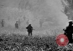 Image of Garapan captured Garapan Saipan Mariana Islands, 1944, second 56 stock footage video 65675050448