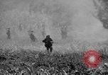 Image of Garapan captured Garapan Saipan Mariana Islands, 1944, second 57 stock footage video 65675050448