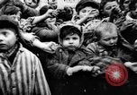 Image of Auschwitz Concentration Camp Poland, 1944, second 7 stock footage video 65675050449