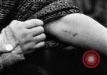 Image of Auschwitz Concentration Camp Poland, 1944, second 12 stock footage video 65675050449