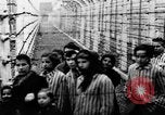 Image of Auschwitz Concentration Camp Poland, 1944, second 37 stock footage video 65675050449