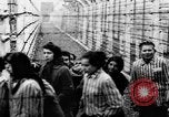 Image of Auschwitz Concentration Camp Poland, 1944, second 38 stock footage video 65675050449