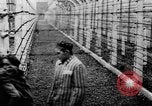 Image of Auschwitz Concentration Camp Poland, 1944, second 41 stock footage video 65675050449
