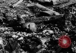 Image of Auschwitz Concentration Camp Poland, 1944, second 42 stock footage video 65675050449