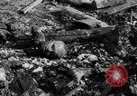 Image of Auschwitz Concentration Camp Poland, 1944, second 44 stock footage video 65675050449