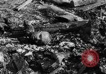 Image of Auschwitz Concentration Camp Poland, 1944, second 45 stock footage video 65675050449