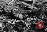 Image of Auschwitz Concentration Camp Poland, 1944, second 46 stock footage video 65675050449
