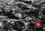 Image of Auschwitz Concentration Camp Poland, 1944, second 47 stock footage video 65675050449