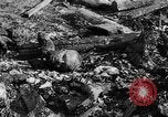 Image of Auschwitz Concentration Camp Poland, 1944, second 48 stock footage video 65675050449