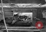 Image of Auschwitz Concentration Camp Poland, 1944, second 50 stock footage video 65675050449