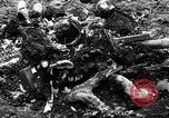 Image of Auschwitz Concentration Camp Poland, 1944, second 62 stock footage video 65675050449