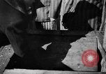 Image of prisoners Poland, 1944, second 25 stock footage video 65675050450