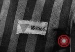 Image of prisoners Poland, 1944, second 48 stock footage video 65675050450