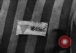 Image of prisoners Poland, 1944, second 49 stock footage video 65675050450