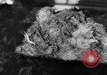 Image of warehouse filled with concentration camp prisoner belongings Poland, 1945, second 20 stock footage video 65675050451