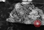 Image of warehouse filled with concentration camp prisoner belongings Poland, 1945, second 21 stock footage video 65675050451