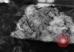 Image of warehouse filled with concentration camp prisoner belongings Poland, 1945, second 23 stock footage video 65675050451