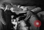 Image of warehouse filled with concentration camp prisoner belongings Poland, 1945, second 60 stock footage video 65675050451