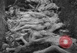 Image of funeral of concentration camp victims Poland, 1945, second 11 stock footage video 65675050452