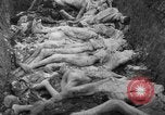 Image of funeral of concentration camp victims Poland, 1945, second 13 stock footage video 65675050452