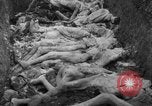 Image of funeral of concentration camp victims Poland, 1945, second 14 stock footage video 65675050452