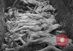 Image of funeral of concentration camp victims Poland, 1945, second 15 stock footage video 65675050452