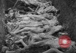 Image of funeral of concentration camp victims Poland, 1945, second 16 stock footage video 65675050452