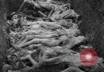 Image of funeral of concentration camp victims Poland, 1945, second 17 stock footage video 65675050452
