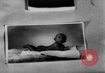 Image of victims of Nazi Brutality Poland, 1945, second 12 stock footage video 65675050453