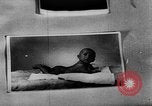 Image of victims of Nazi Brutality Poland, 1945, second 13 stock footage video 65675050453