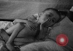 Image of victims of Nazi Brutality Poland, 1945, second 18 stock footage video 65675050453