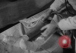 Image of victims of Nazi Brutality Poland, 1945, second 44 stock footage video 65675050453