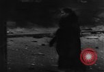 Image of invasion of Norway by Nazi Germany Norway, 1940, second 42 stock footage video 65675050459